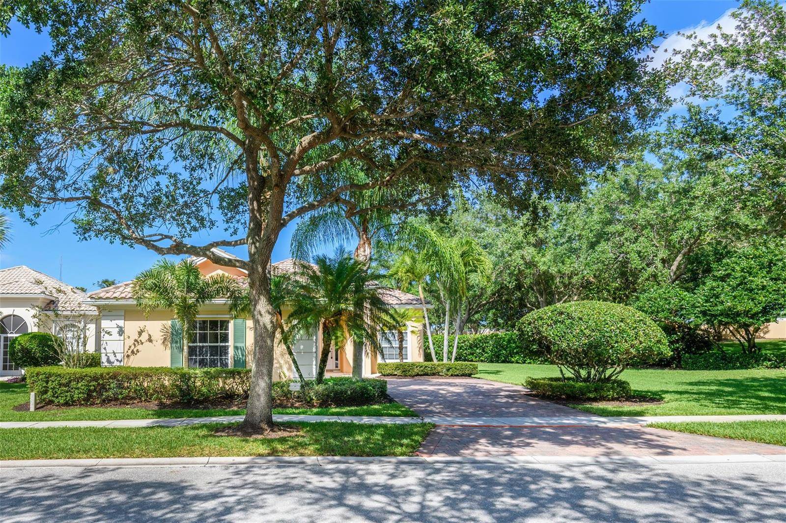 8019 NevisWellington - picture