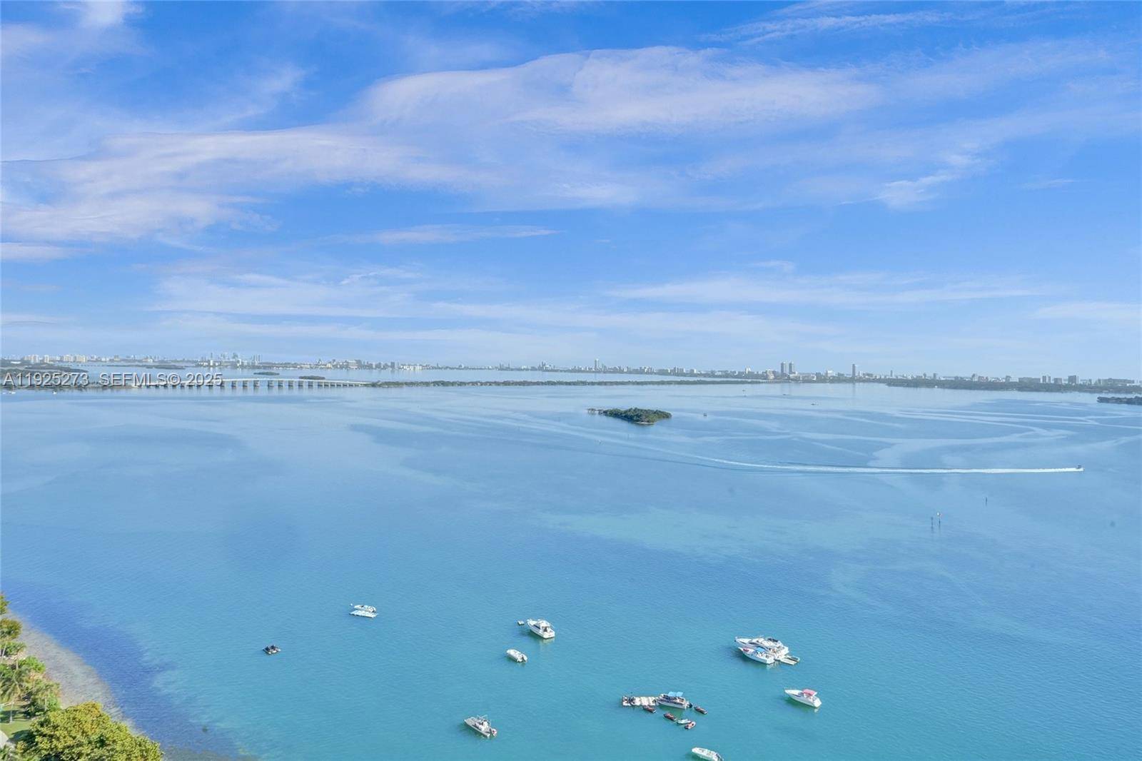 1717 N Bayshore DrMiami - Condo/Co-Op/Annual,Condo condo unit A-1650 - picture