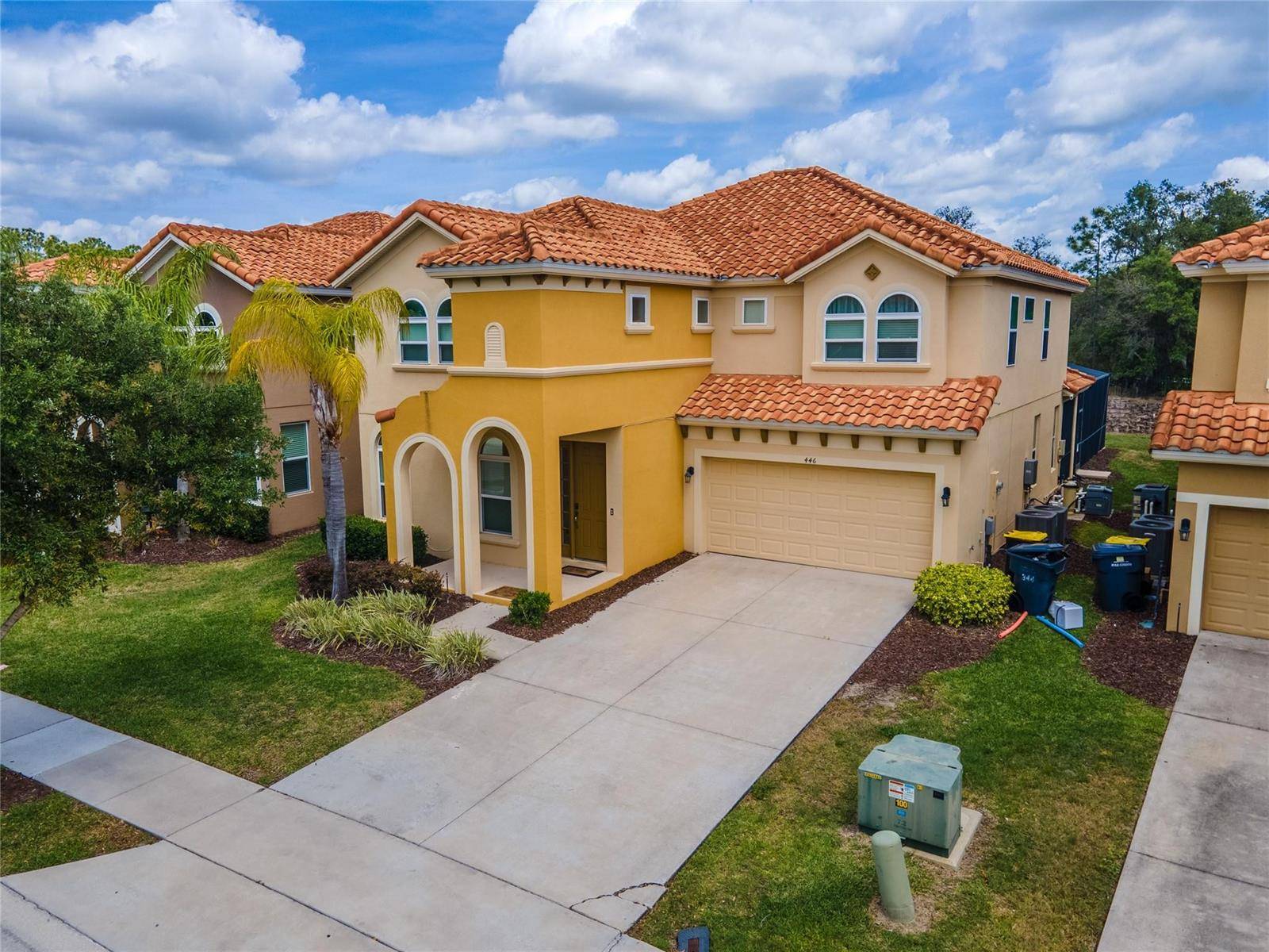 446 Orange CosmosDavenport - picture