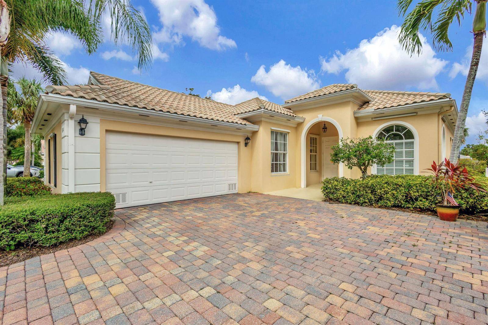 8241 TobagoWellington - picture