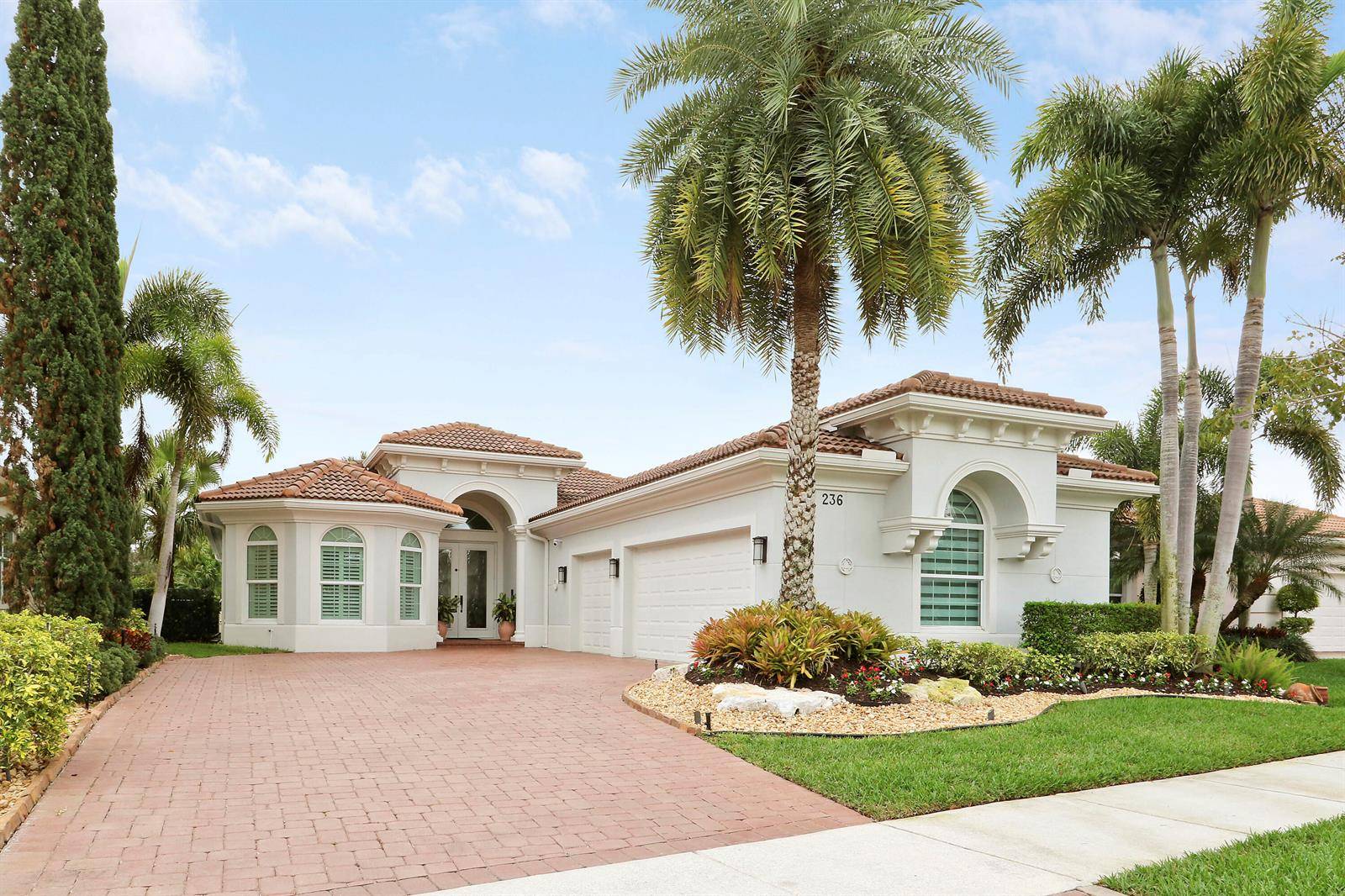 236 CarinaJupiter - picture