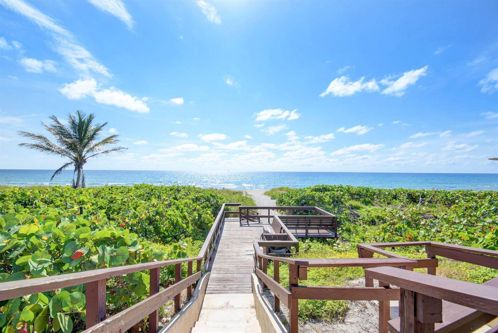 2871 N OceanBoca Raton - Condo condo unit D506 - picture