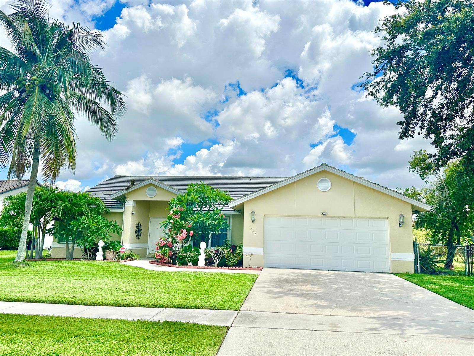 10591 Paso FinoWellington - picture